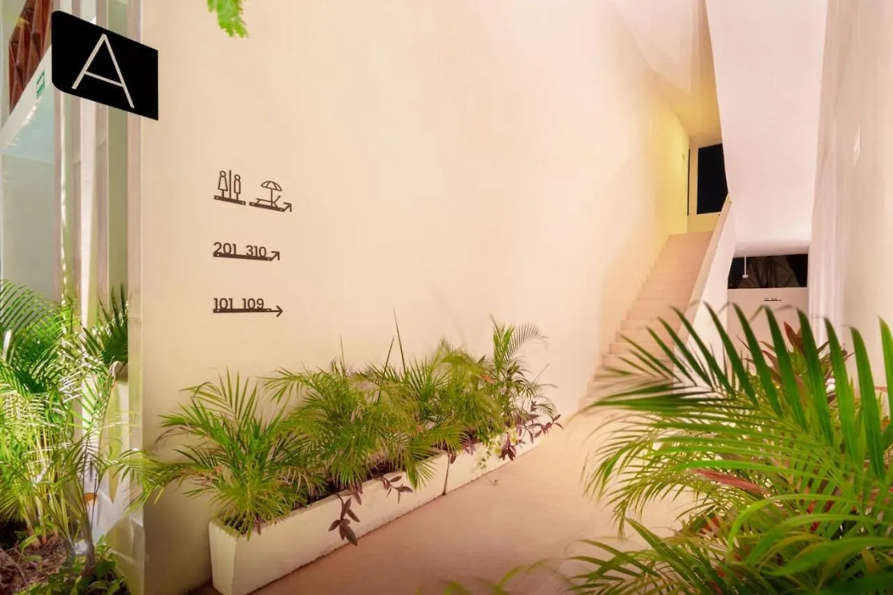 2 Story Penthouse La Veleta 5Br Apartment Tulum